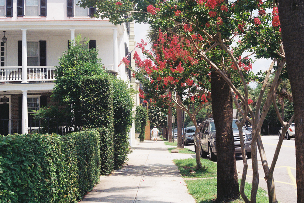 Rainbow Row // Charleston, SC