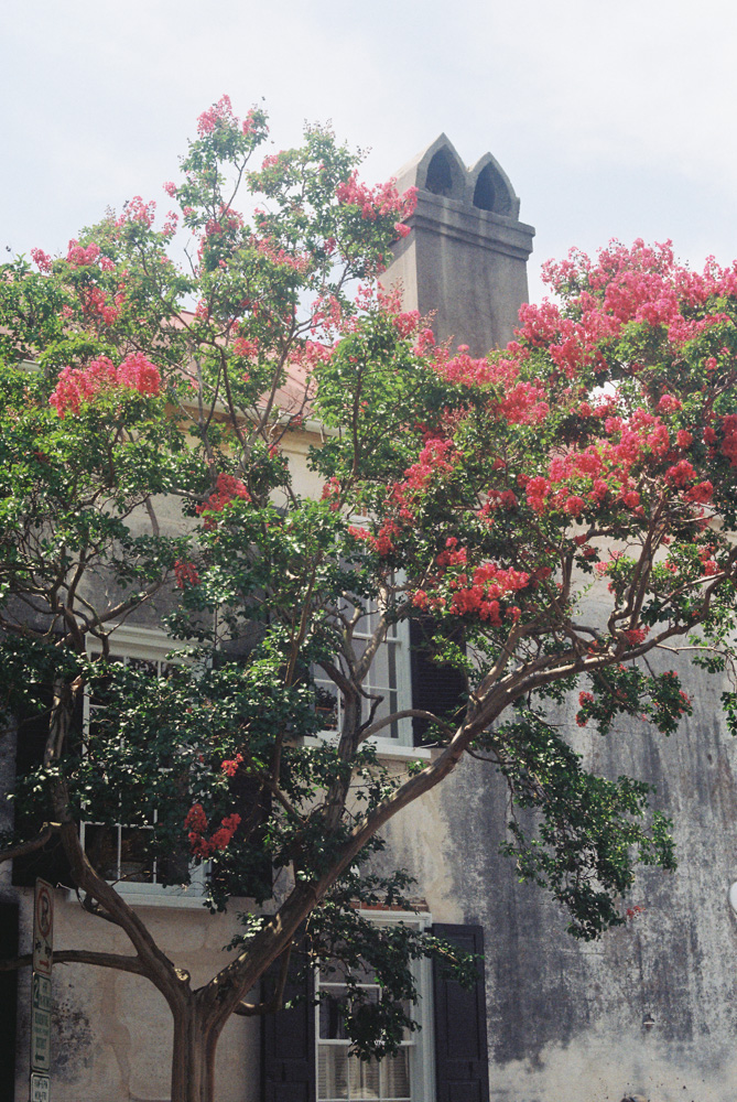 The French Quarter // Charleston, SC