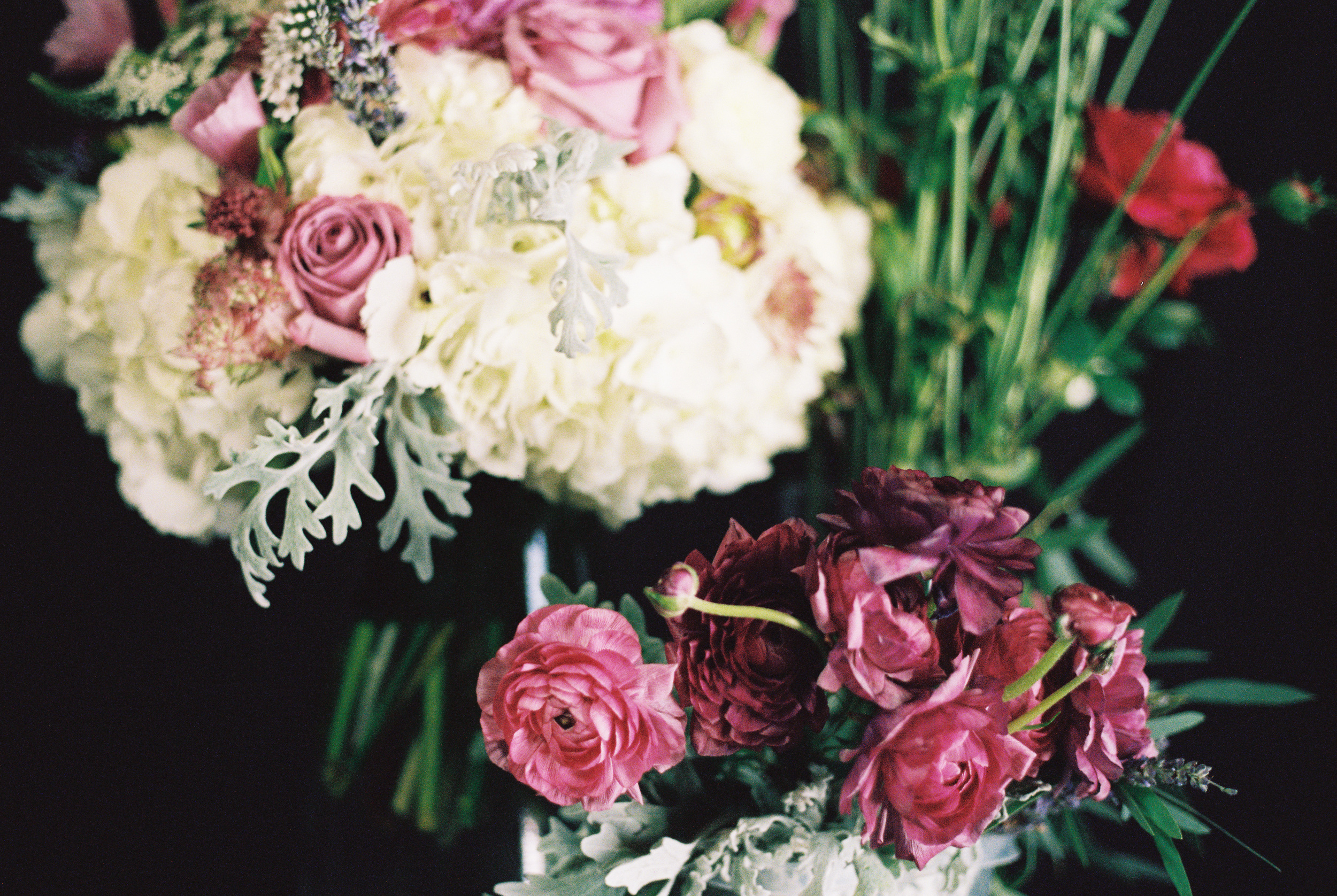 Petal Flower Company // Lynchburg, VA