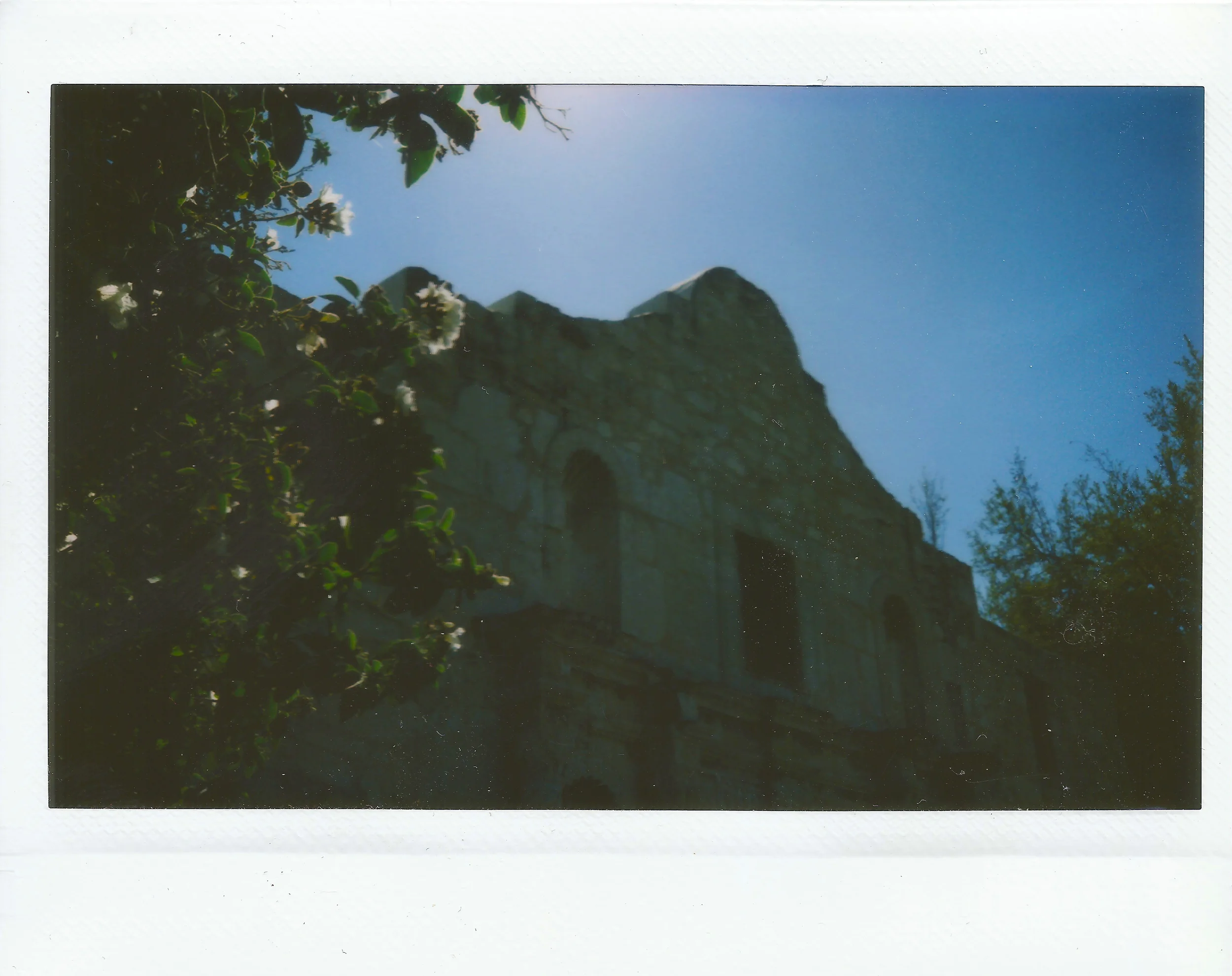 The Alamo // San Antonio, TX