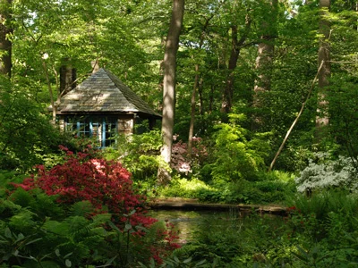 Arboretum at the Barnes Foundation