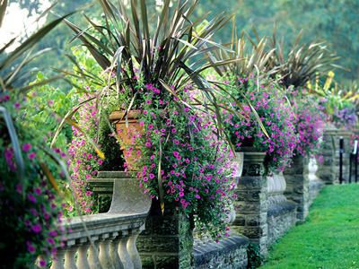 Morris Arboretum of the University of Pennsylvania
