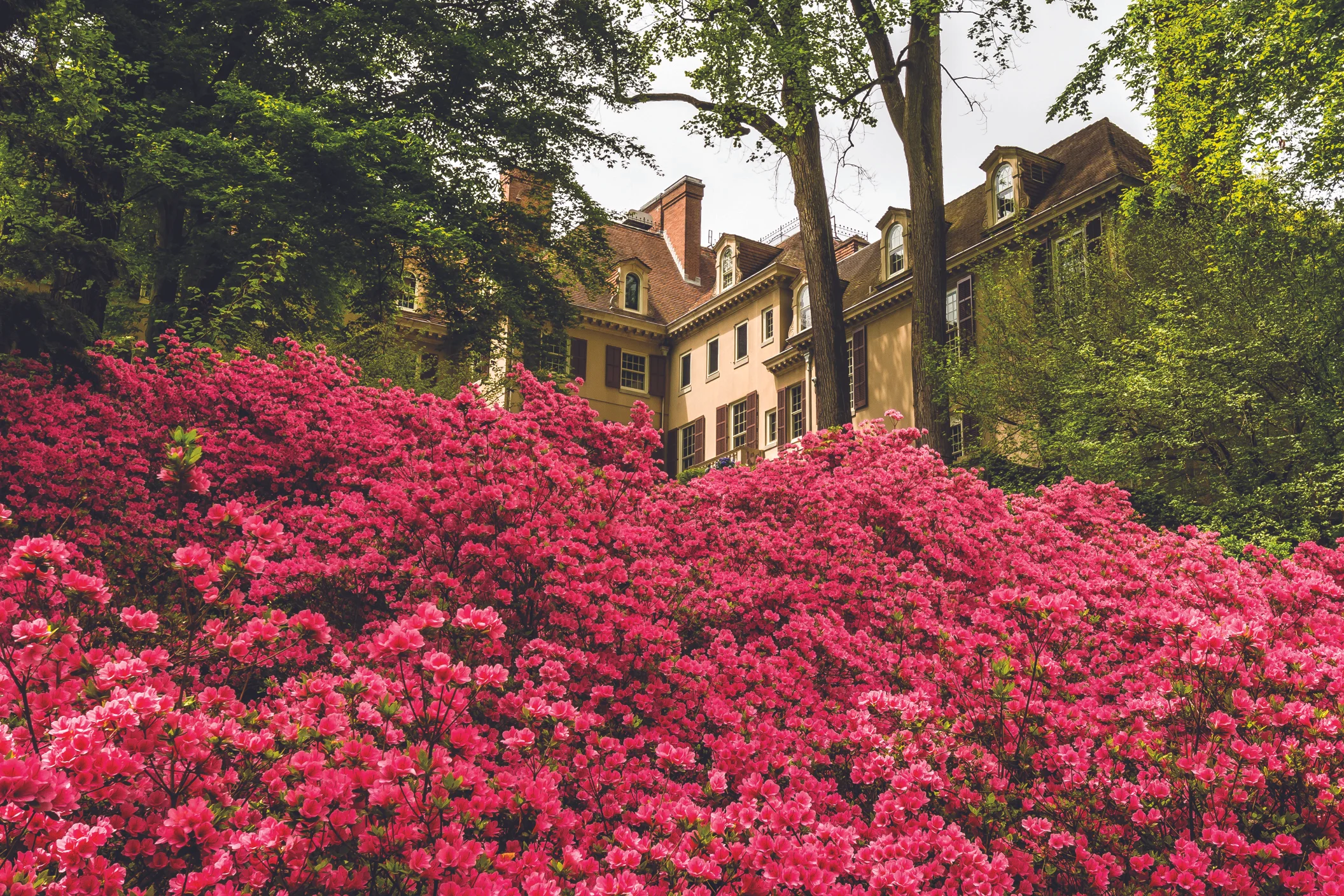 Winterthur Museum, Garden & Library
