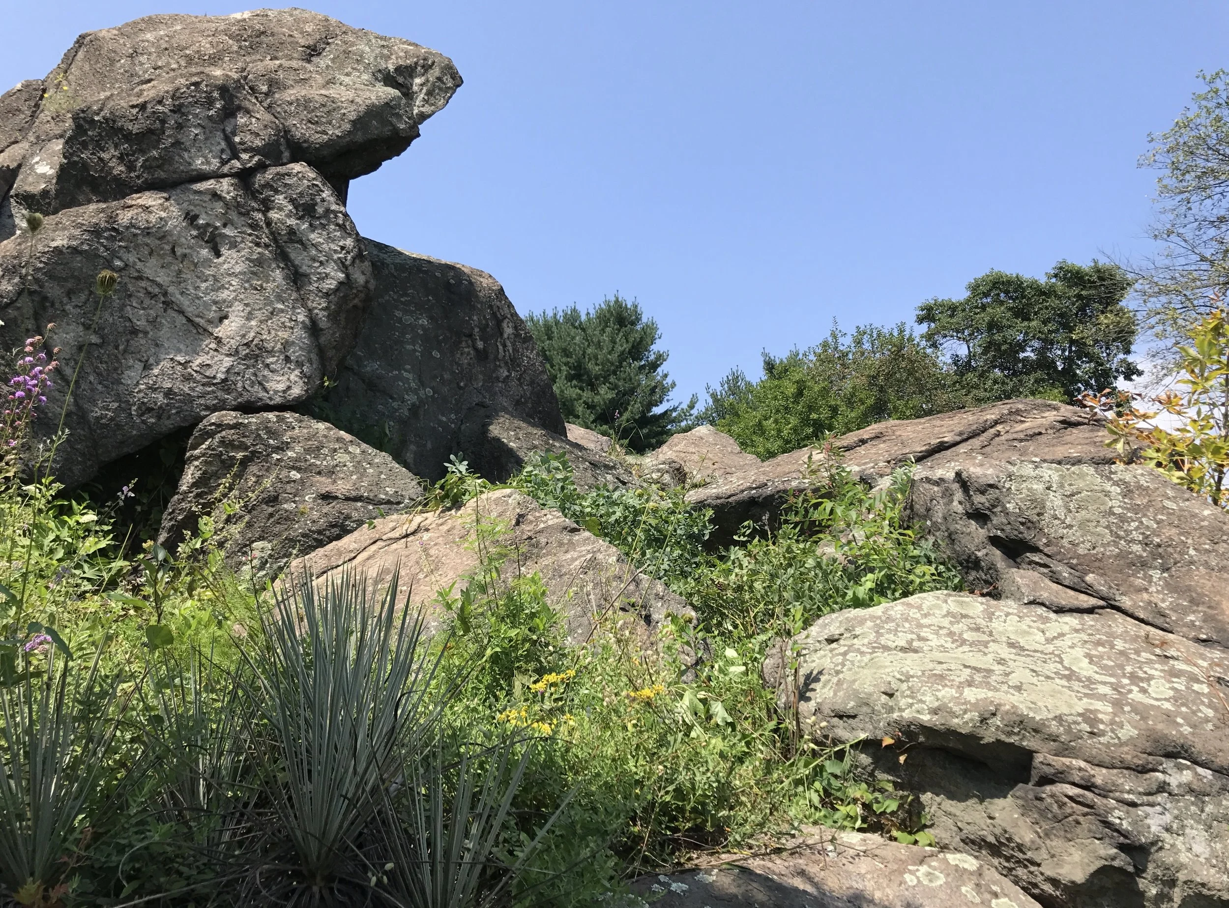 Henry Botanic Garden