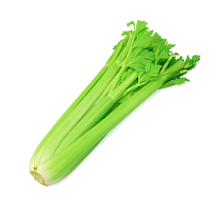 celery300.png