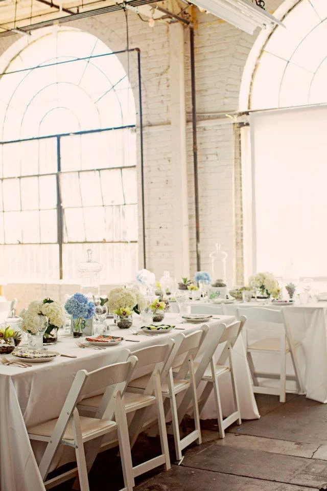 Art Gallery TEY 80.jpg