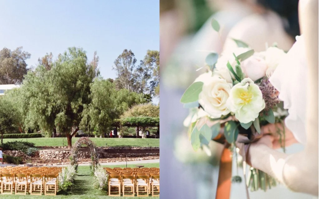 Recently Updated6.jpg