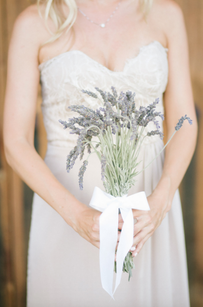 Screen Shot 2015-08-20 at 12.37.20 PM.png