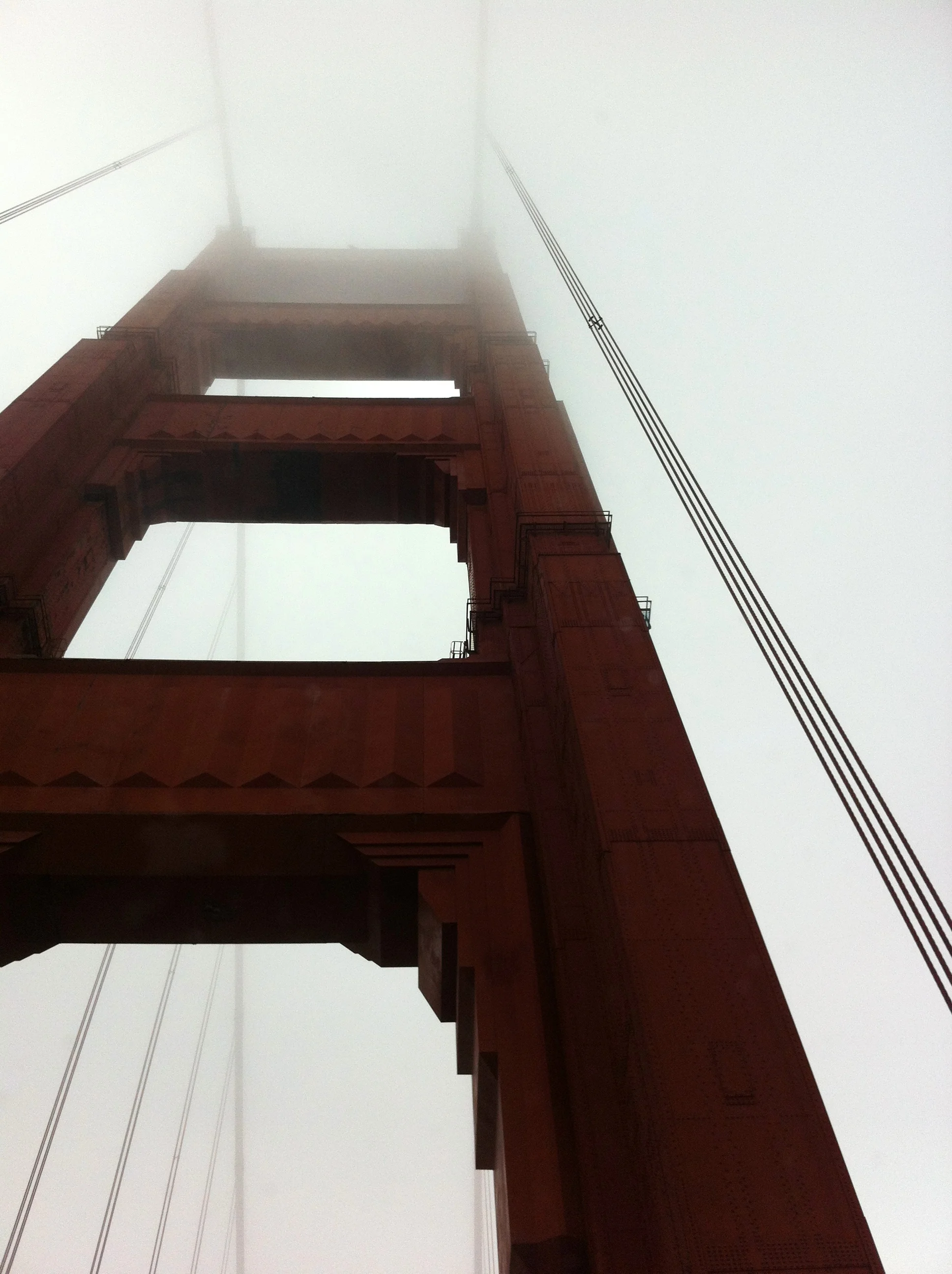 "Golden Gate Fog"