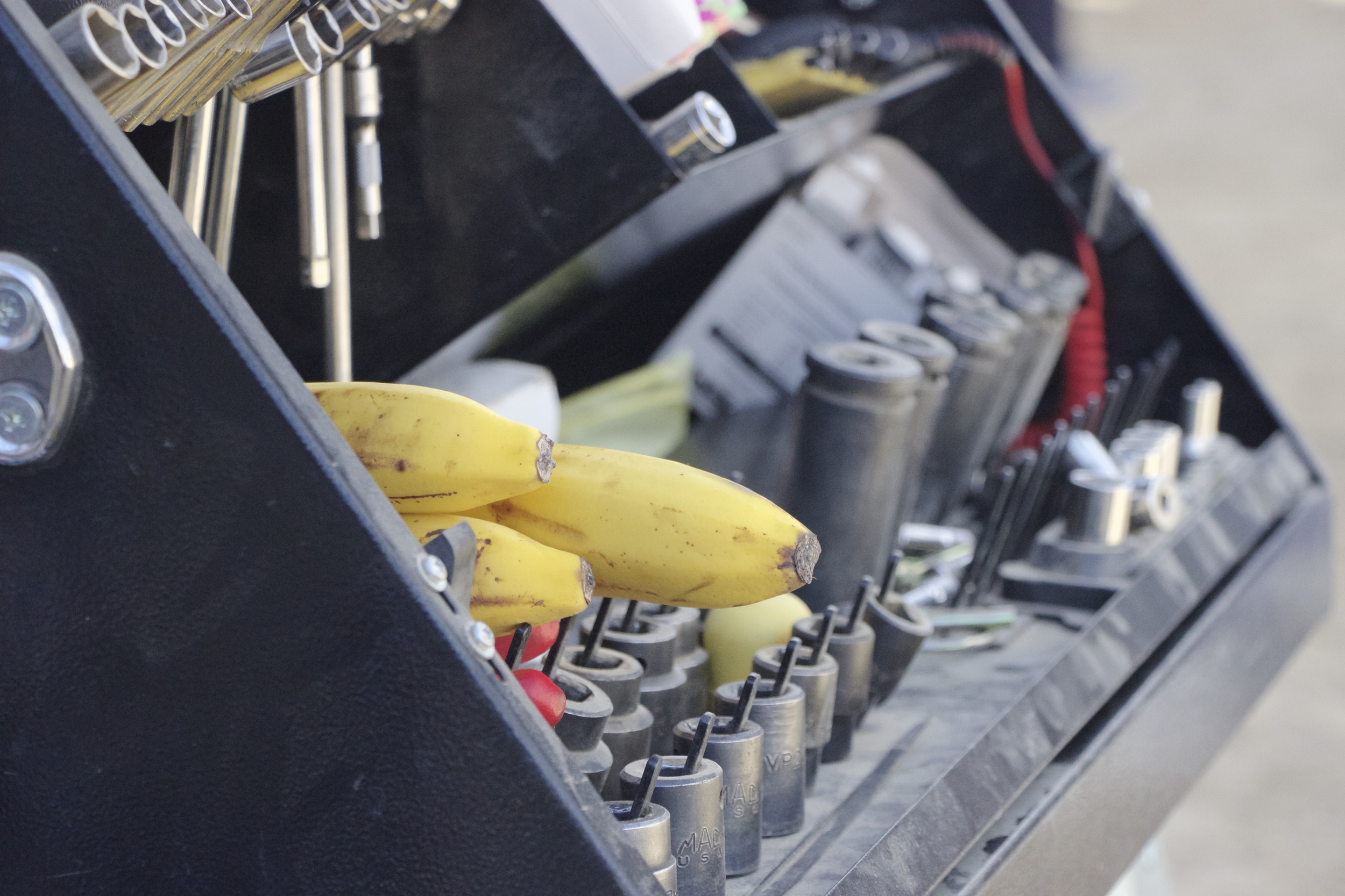 "Bananas in Toolbox"