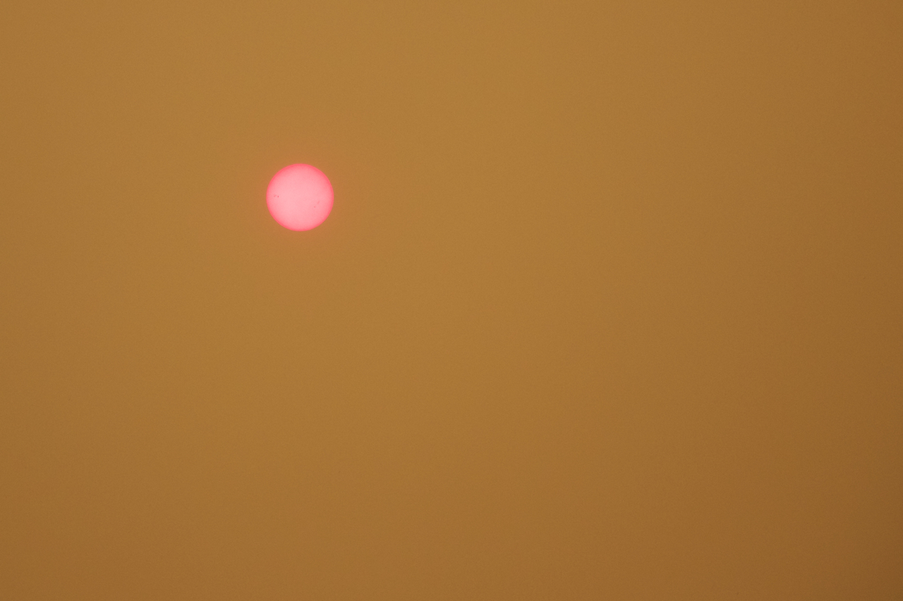 "Lake Fire: Sun through the Smoke"