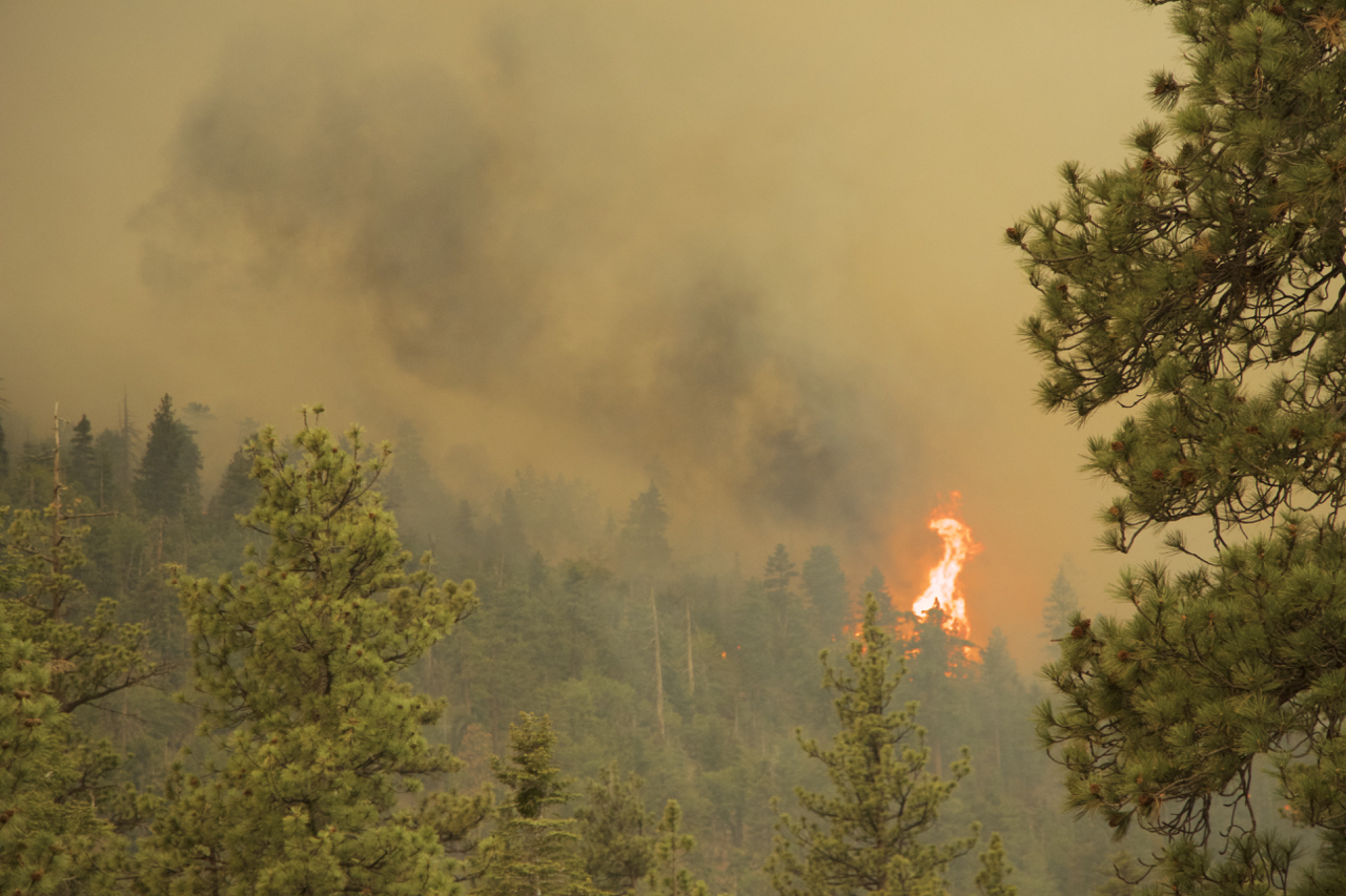 "Lake Fire: Spotting Flames"