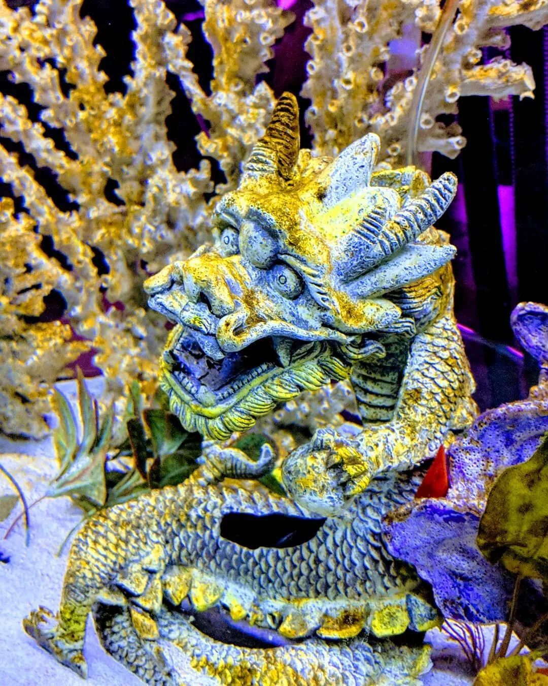 0a60664dbb898cc8aae7656937bc9ca6.jpg