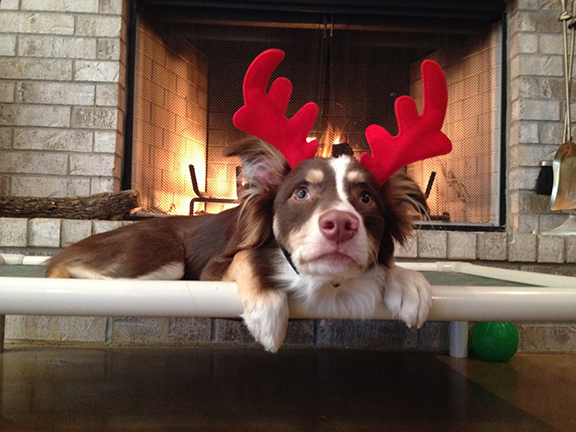  Cash showing his holiday spirit. 