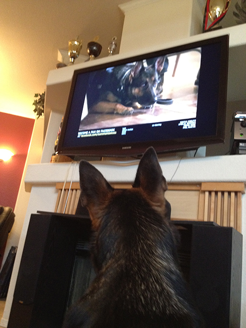  Hexe watching herself in  Common Law . 
