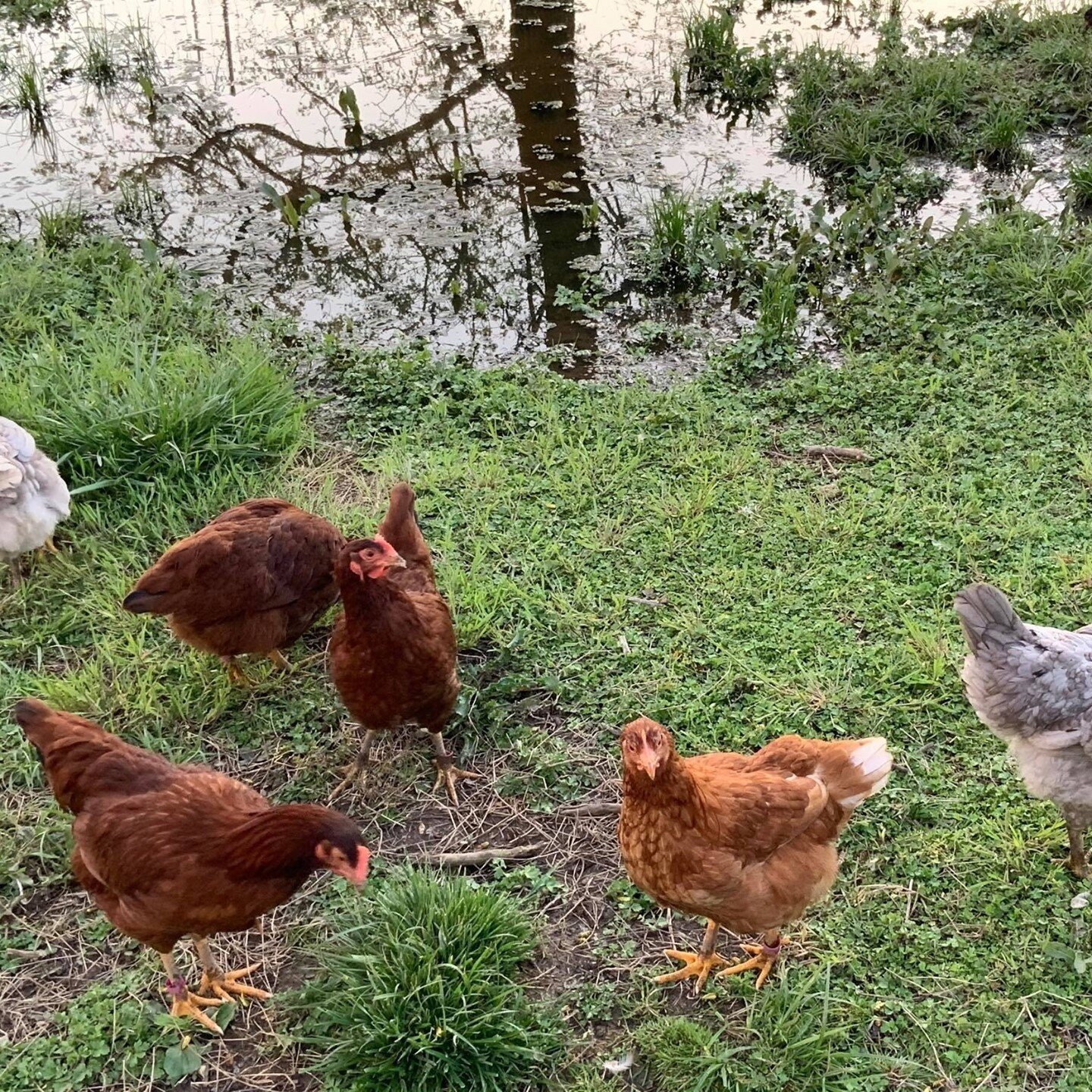 Happy Friday from these happy ladies 😊⁠