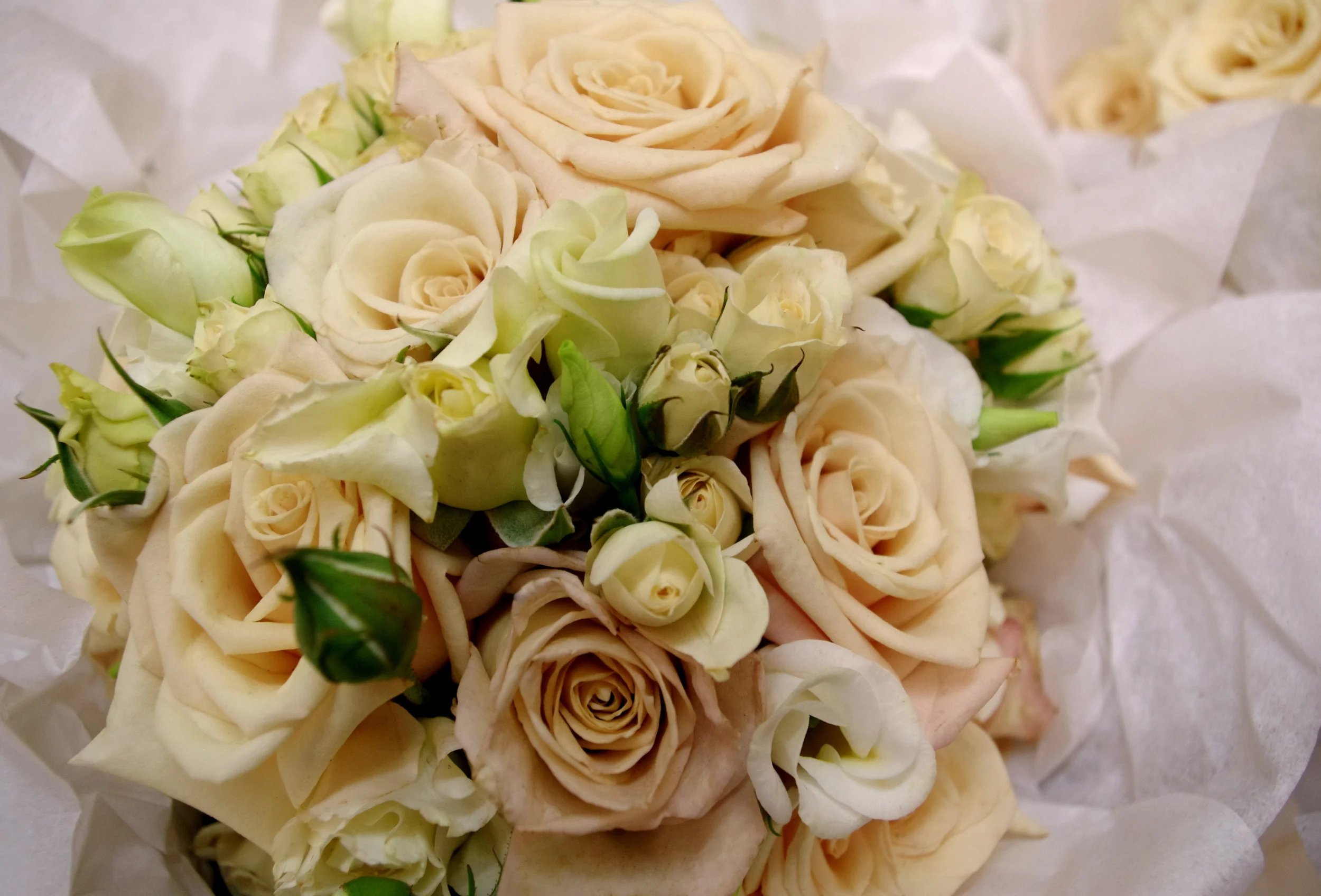 latte rose wedding bouquet.jpg