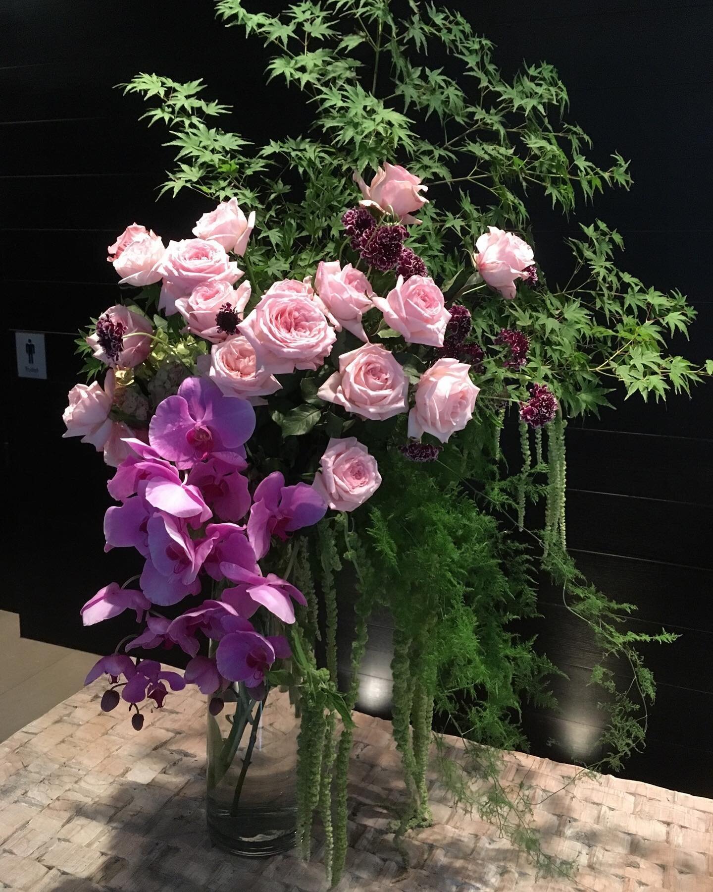 It&rsquo;s how you catch the LIGHT 😉 
.
#amylouroses #phalaenopsisorchid #japanesemaple #luxuryflorist #toorakroad #southyarra #makeastatement #floraldesign