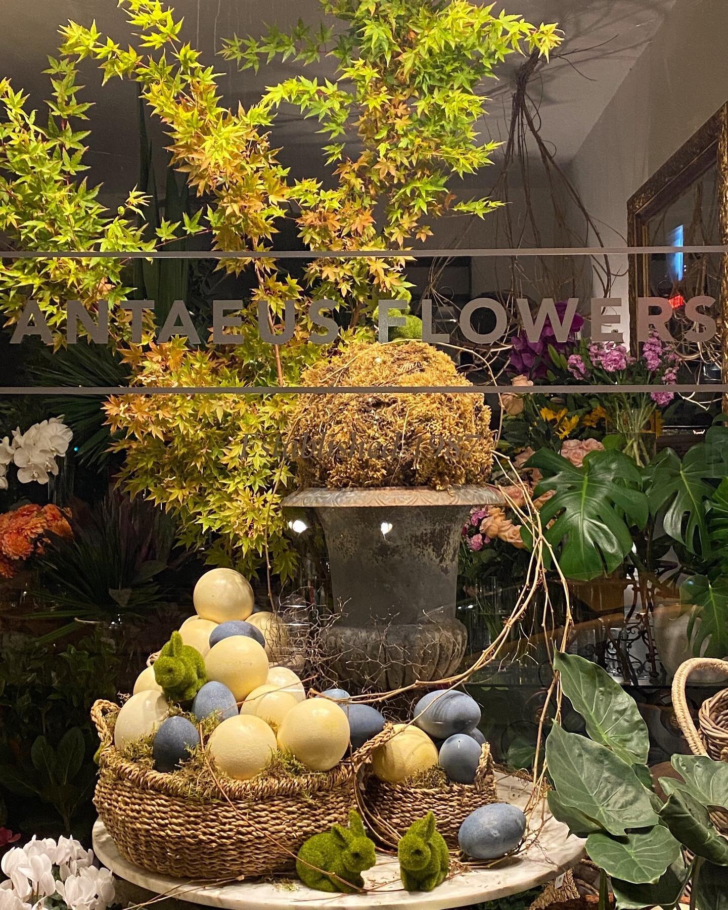 Have a lovely Easter weekend everyone! We will be back on Tuesday with fresh beautiful flowers as always.

#easterbunny #egghunt #toorakroadsouthyarra #luxuryflorist #melbourne