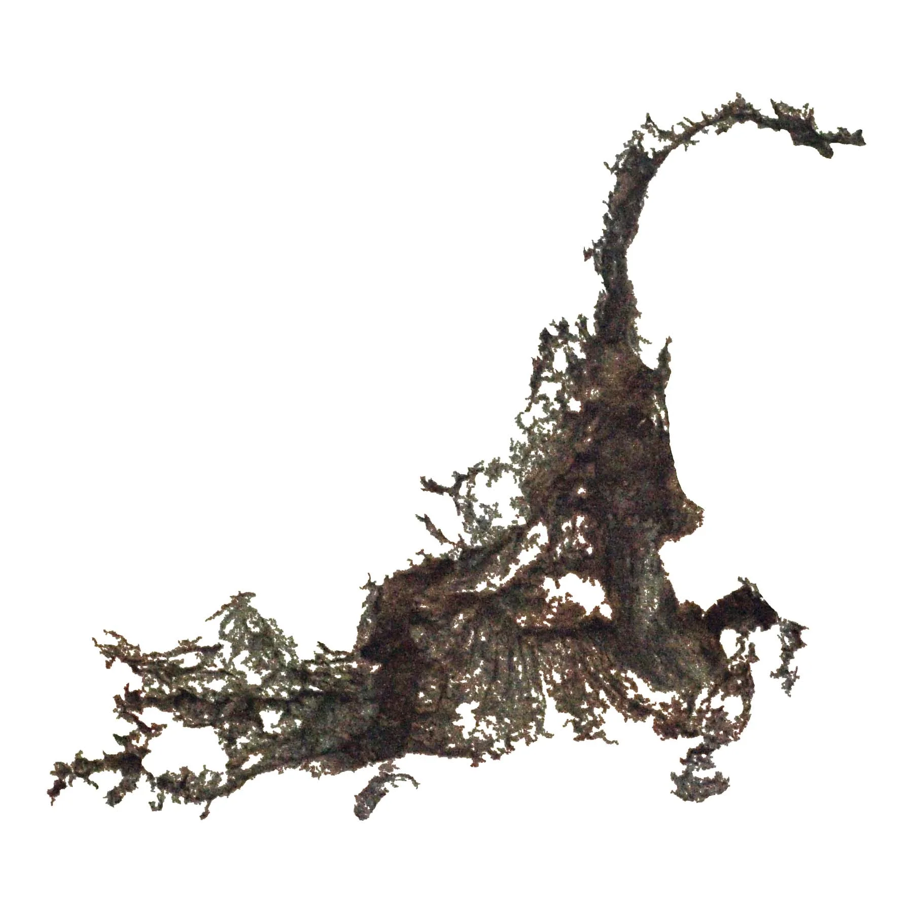 Landform II