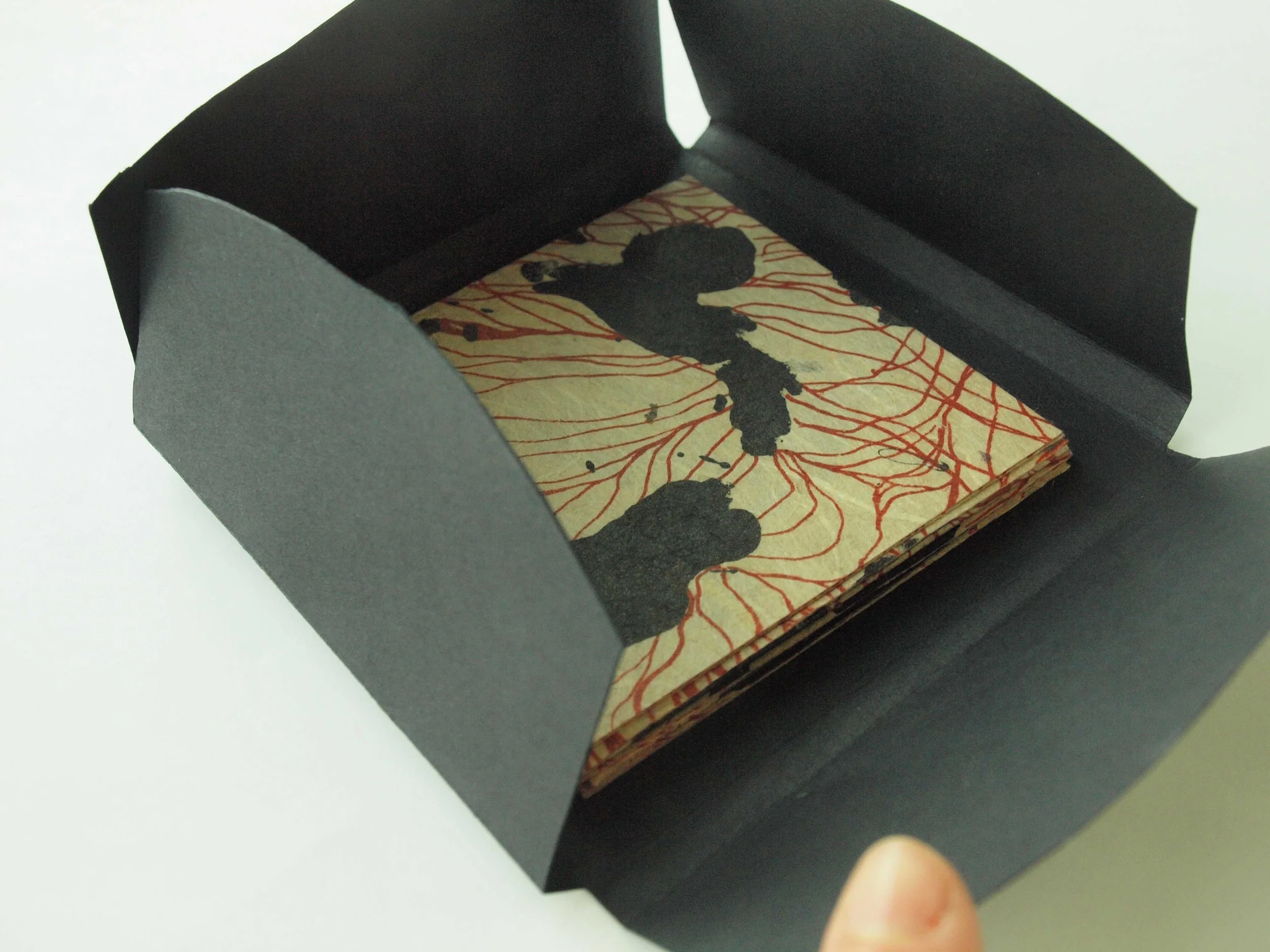 Meandering book, Lithography on Japanese paper.