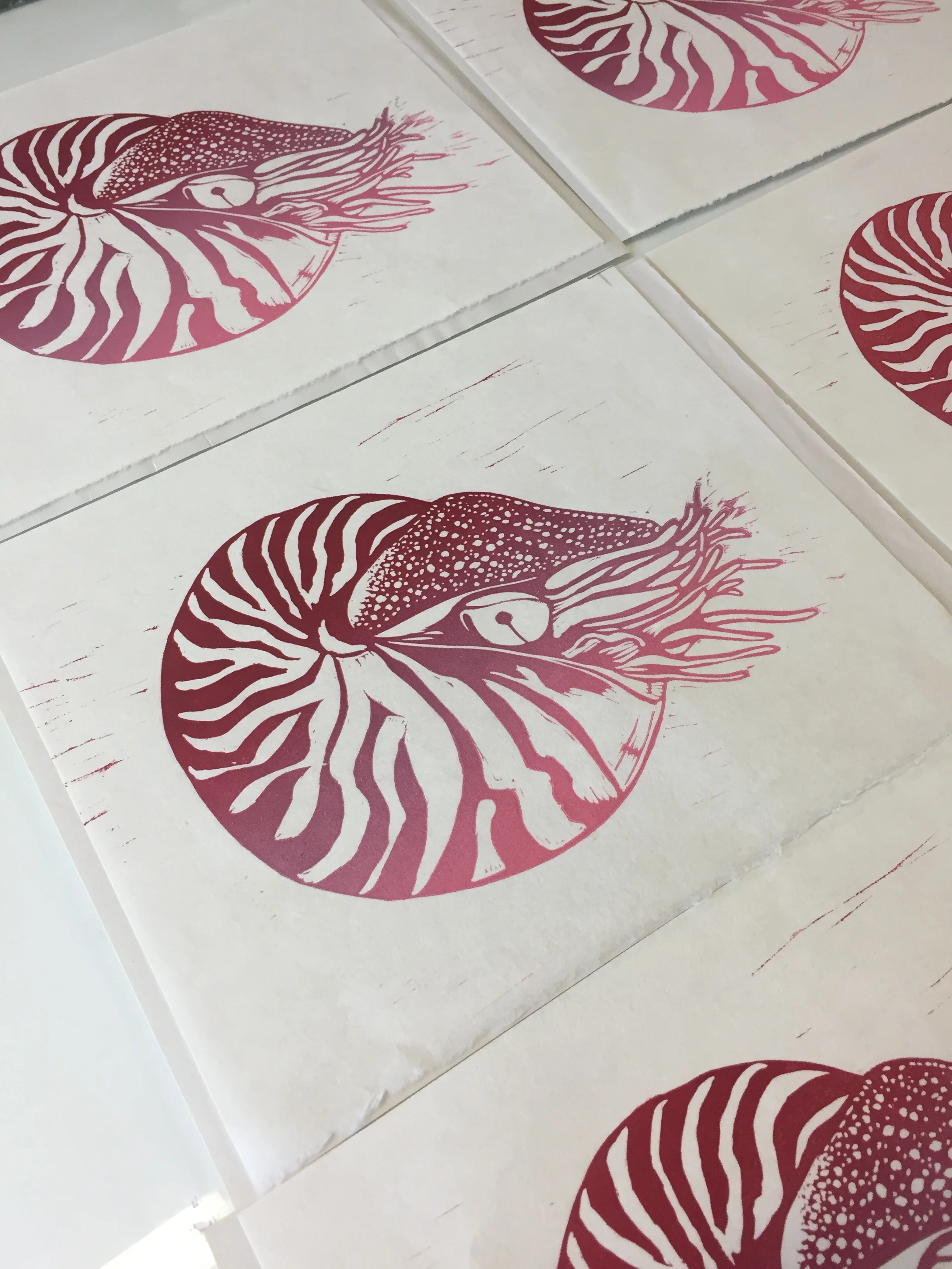 NAUTILUS. An impomptu studio session produces a new edition of handmade prints.