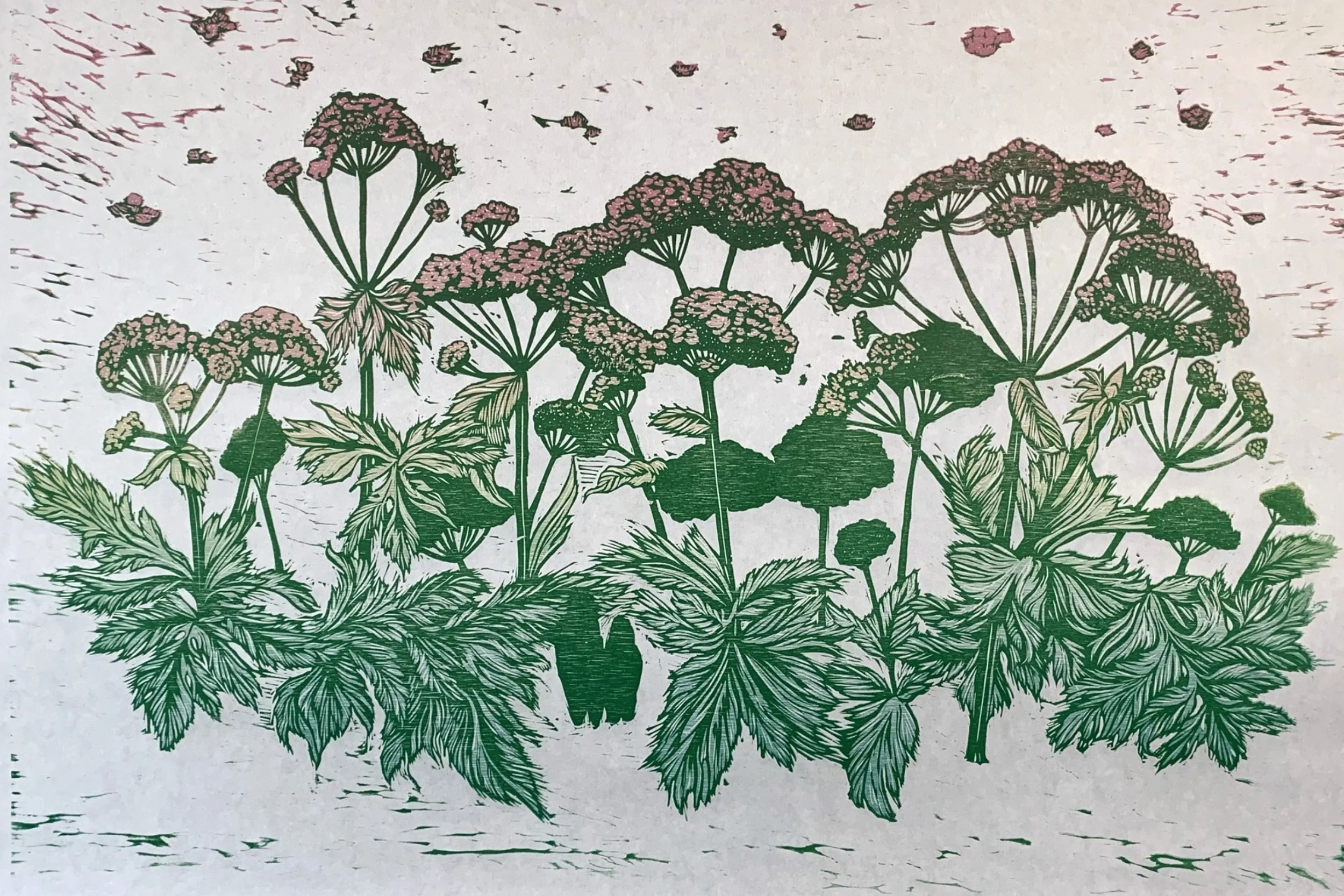 maya_cardin_giants_hogweed_print.JPG