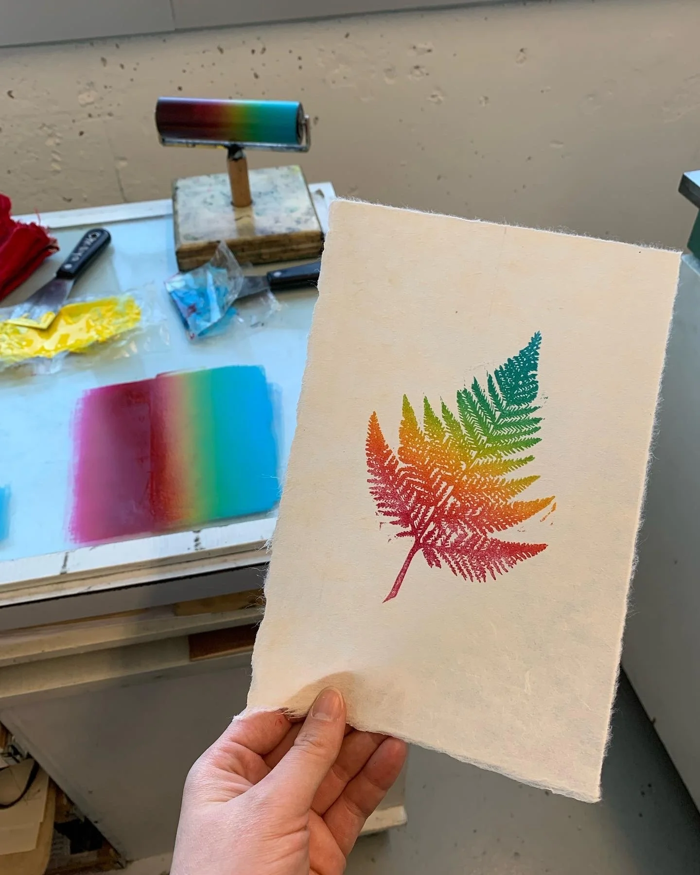 RAINBOW FERN / FOUGÈRE ARC-EN-CIEL (8x10)