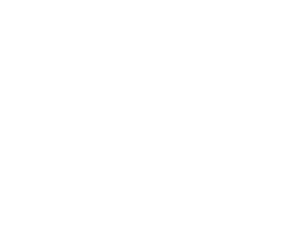 Mike Falzone