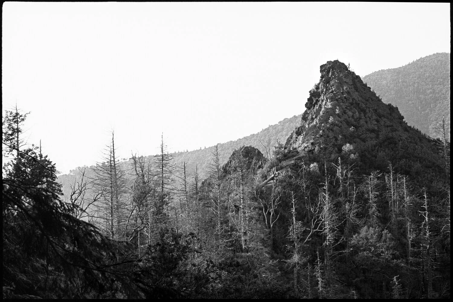 LAURA E. PARTAIN | Journal Entry #16: Trail Notes, Entry 001