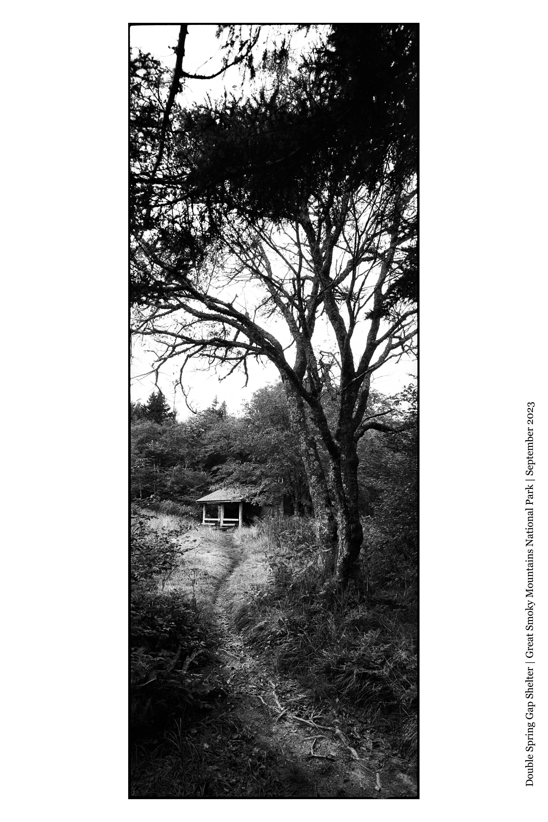 DoubleSpringGapShelter_Fall2023 copy.jpg
