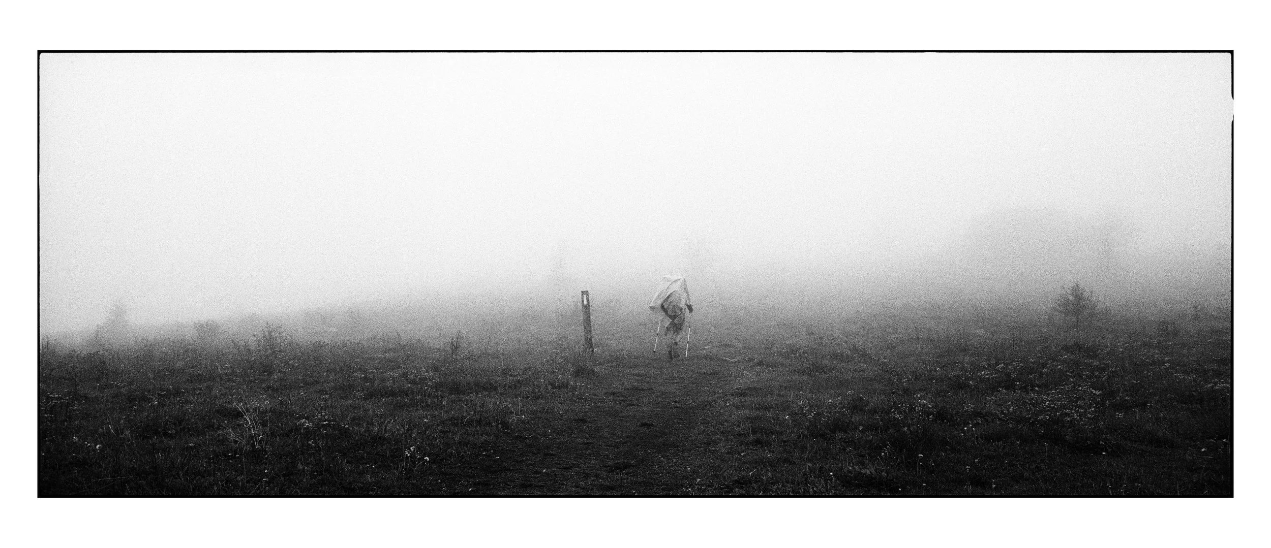 AmericanPilgrimPromoCard_FrontSide copy.jpg