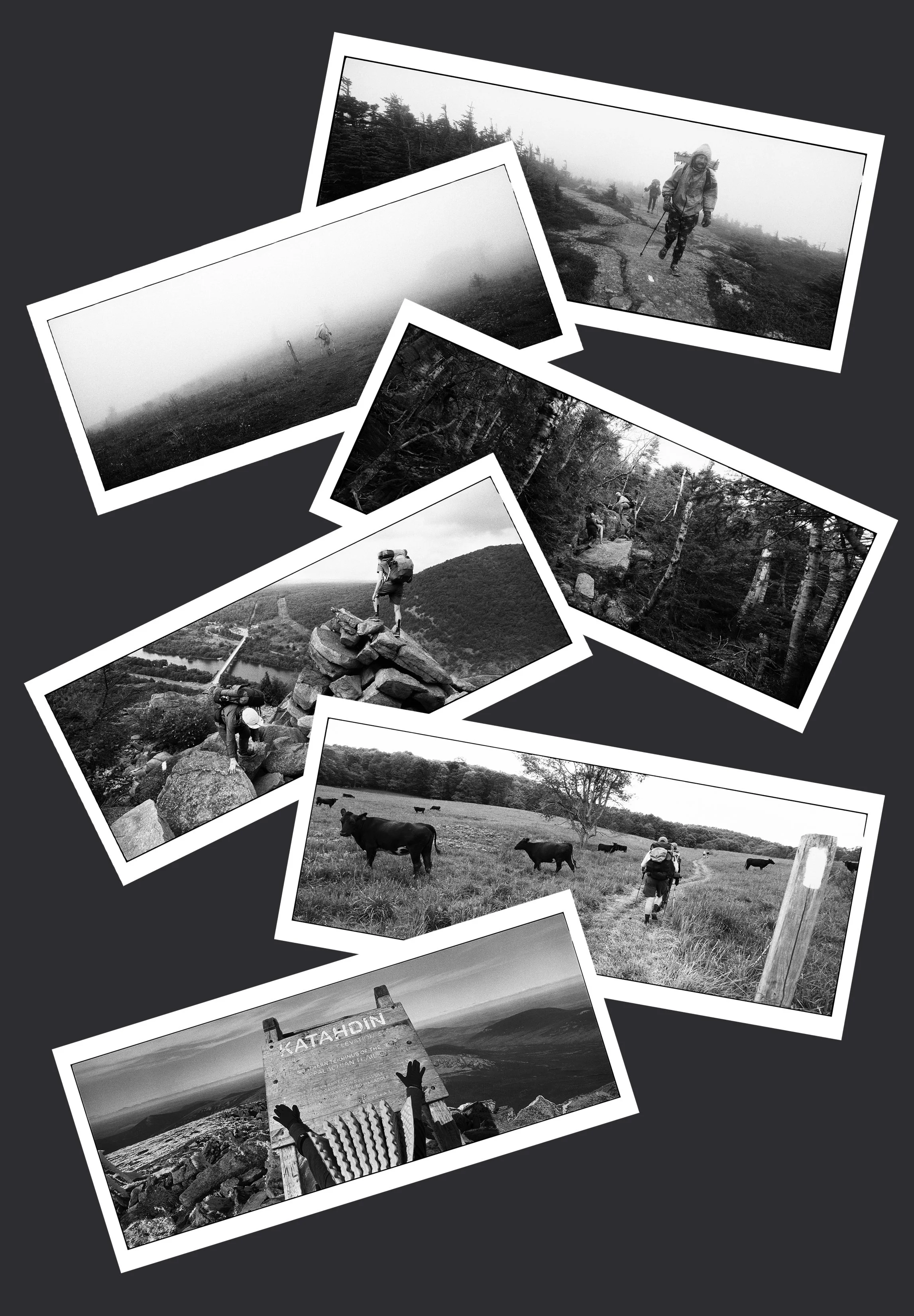 PackOfSix_AmericanPilgrimsPostcards copy.jpg