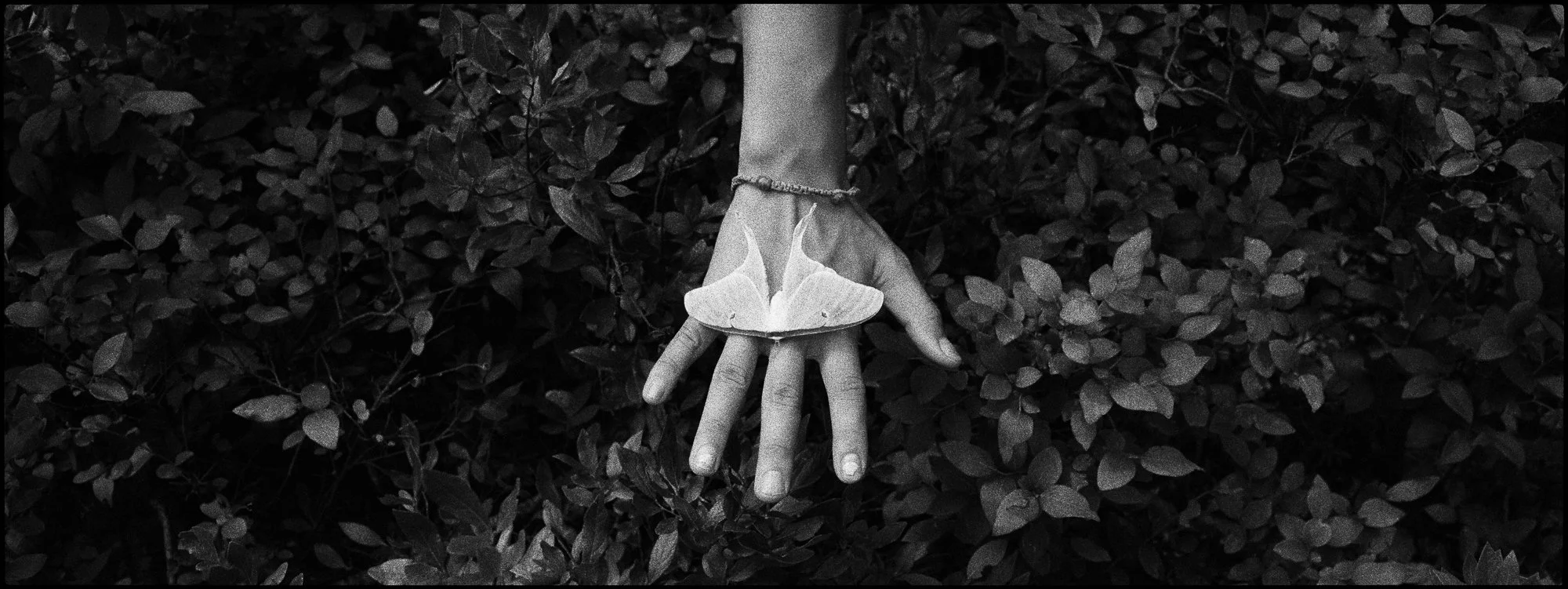 35MMPresentation_0132.jpg