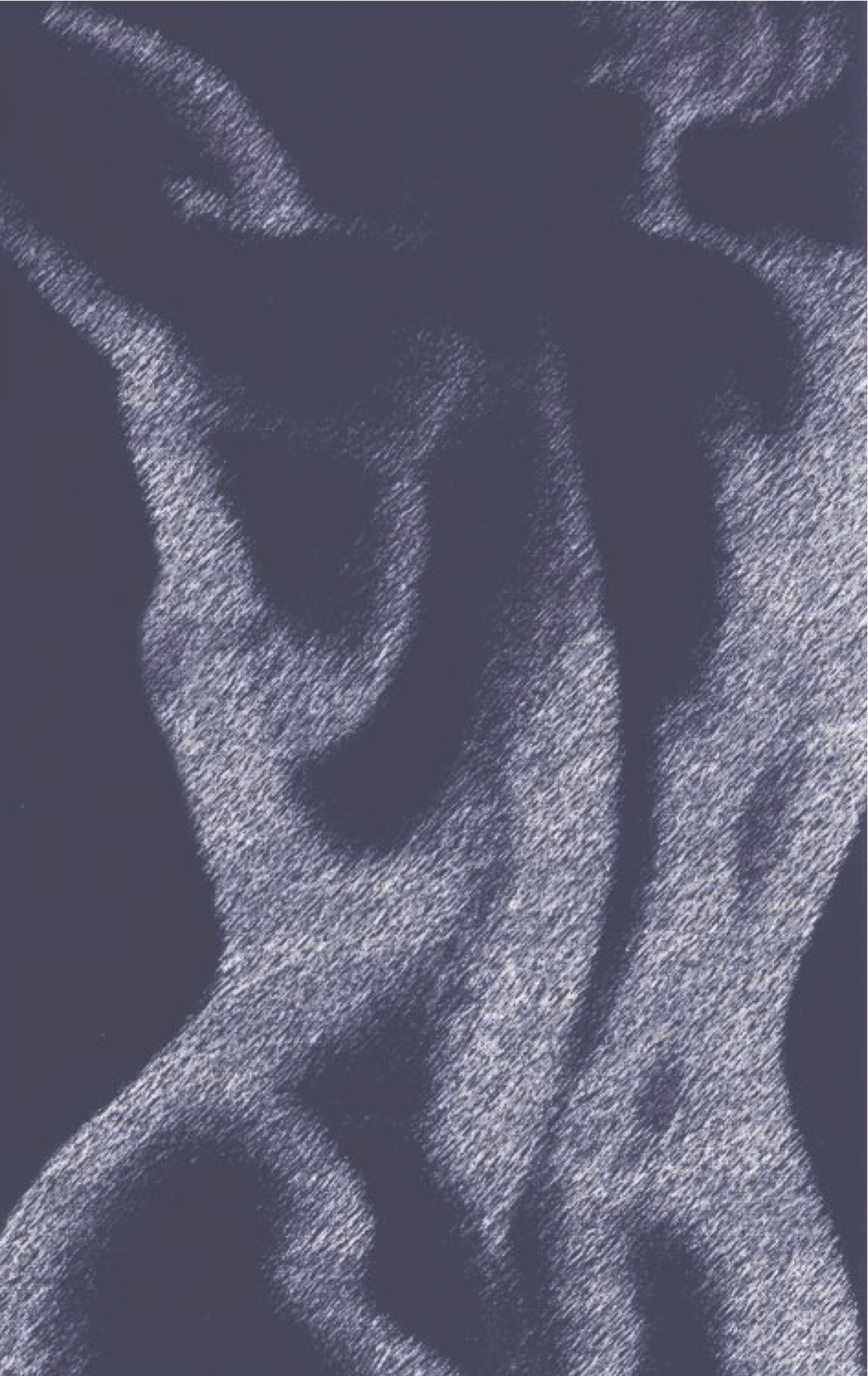 Female Torso.jpg