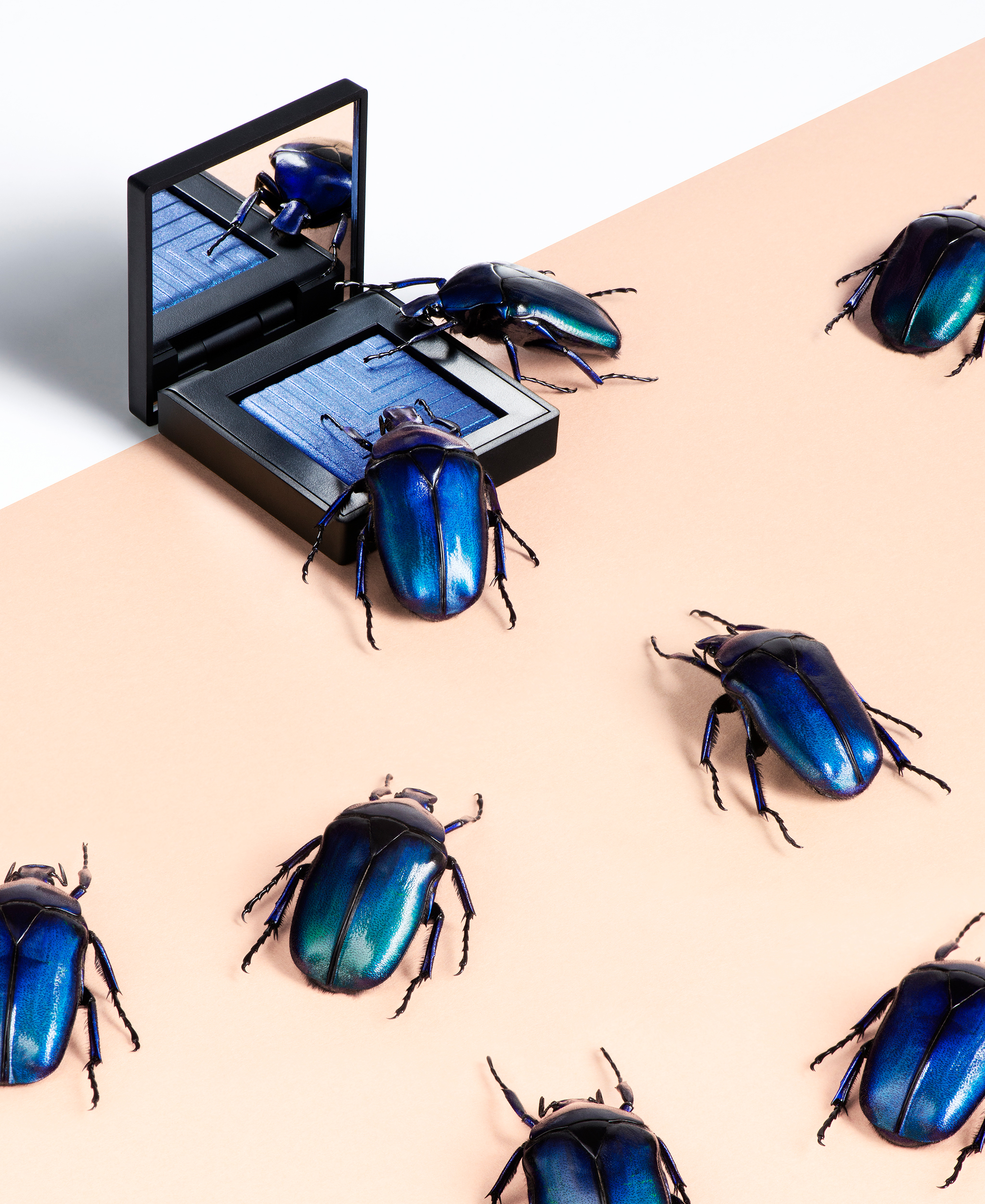Beauty & The Bugs