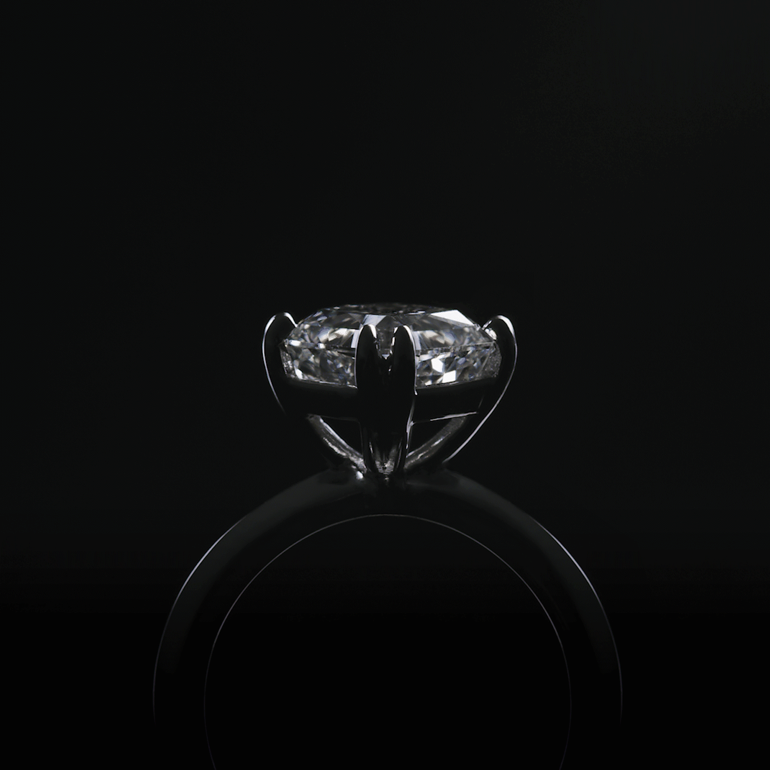 LarissaIssler_DiamondRing1.gif