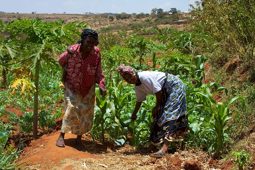 Good Read | How to... get female voices into farming research