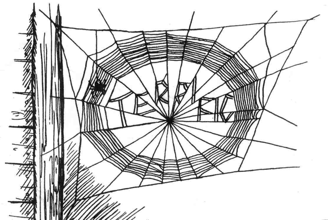 Action Alert | It Is Charlotte's Web, Not Wilbur's Web