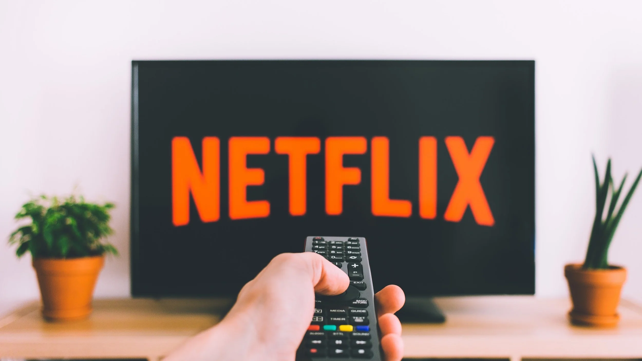 photo credit: freestocks.org , via Unsplash