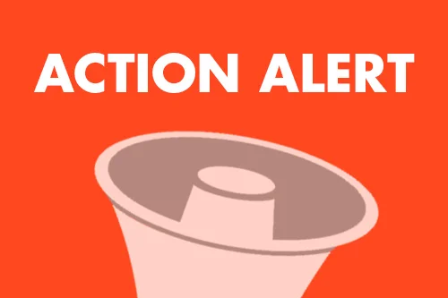 📣🚨 GenderAvenger Action Alerts Are Now In Real Time!