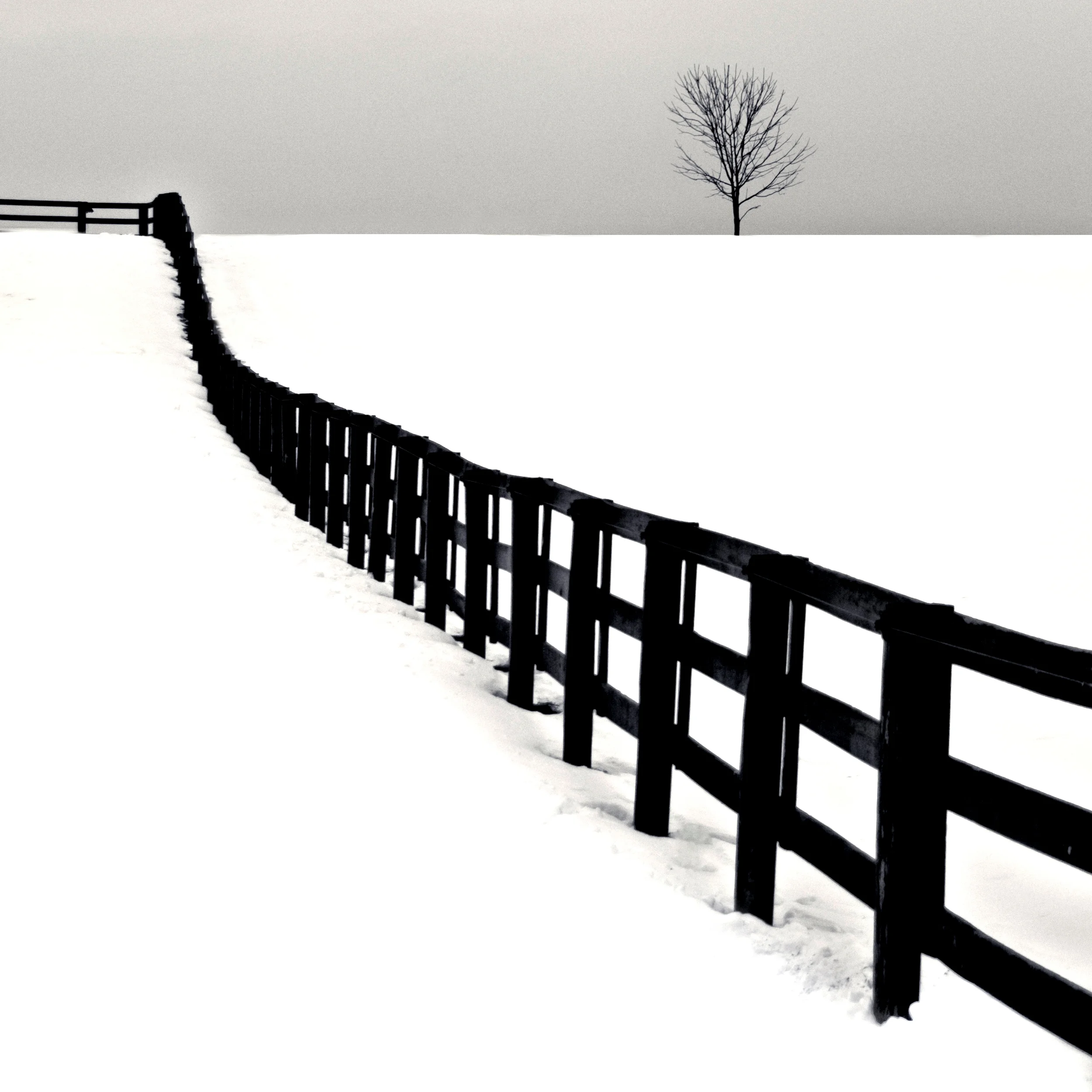 HUDSON_01 (1 of 1)_2.jpg