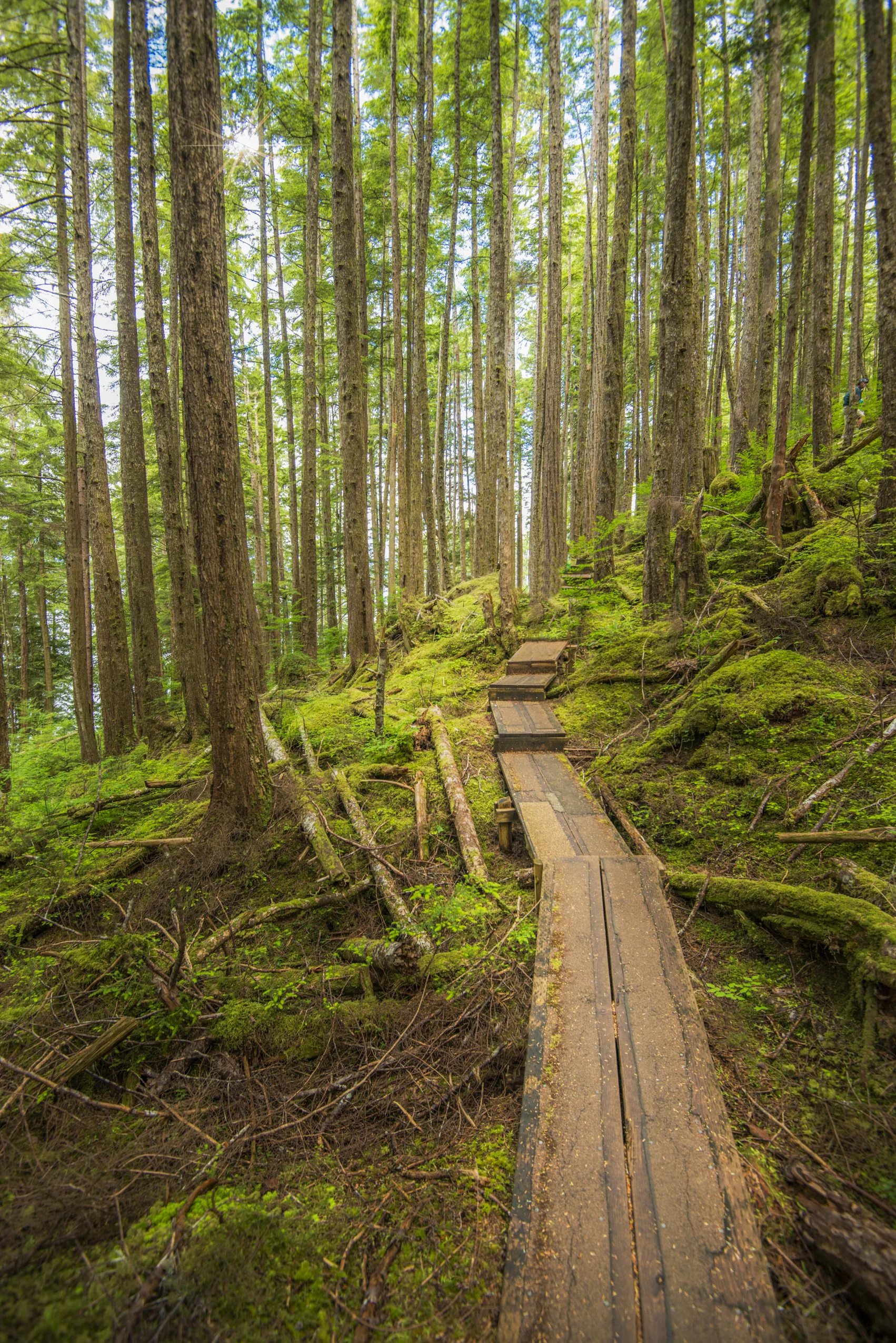 ALASKA HAWAII FINAL LR EXPORT-23-3.jpg