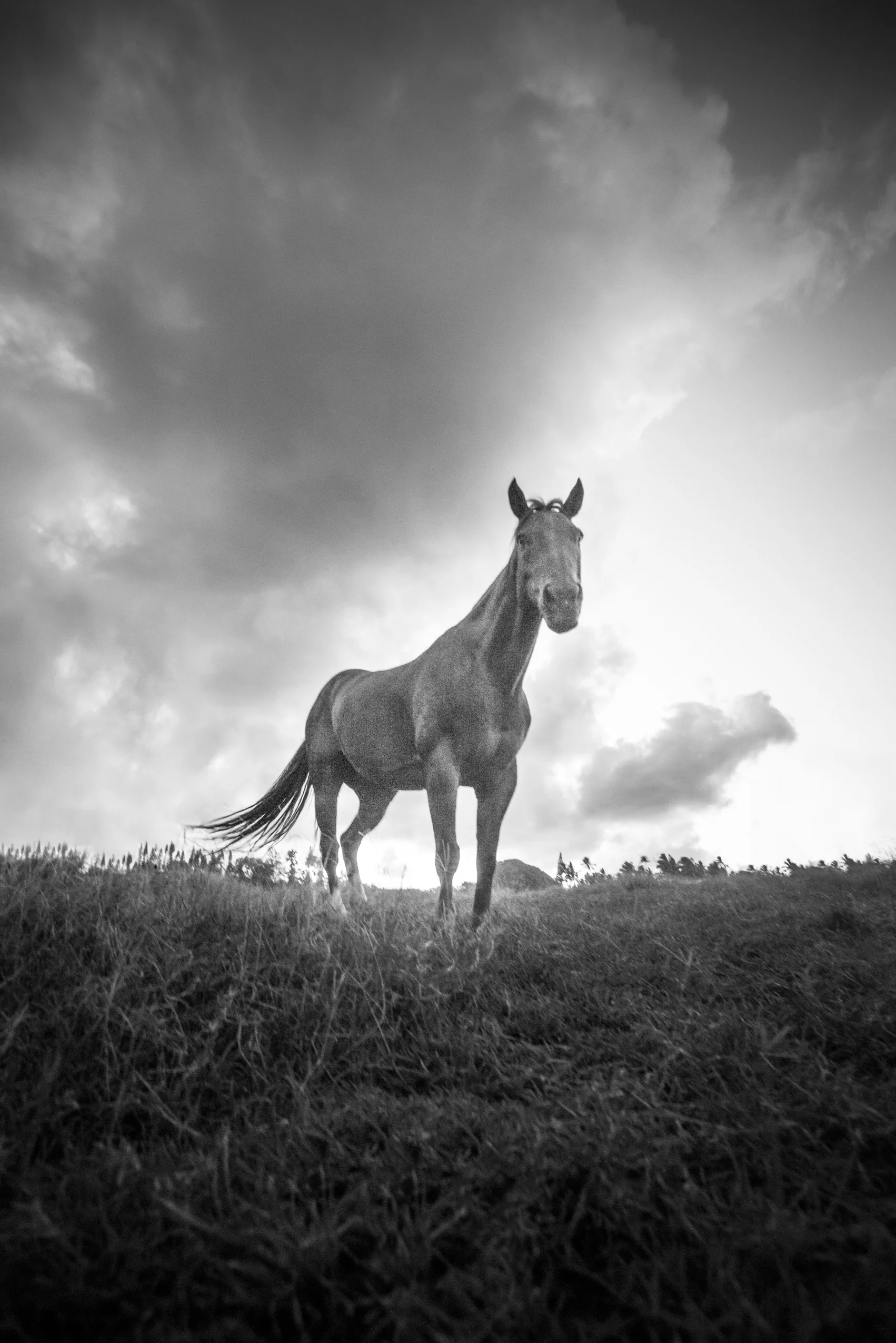 ALASKA HAWAII FINAL LR EXPORT-652.jpg