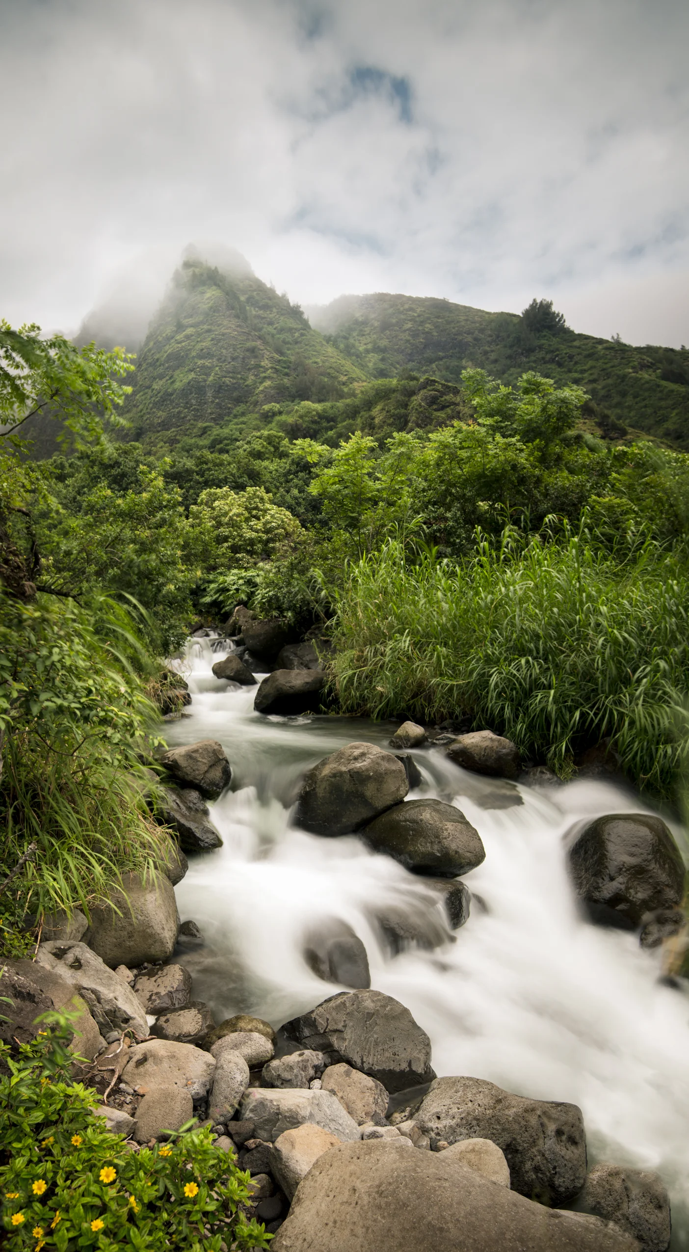 ALASKA HAWAII ROUND 4-9.jpg