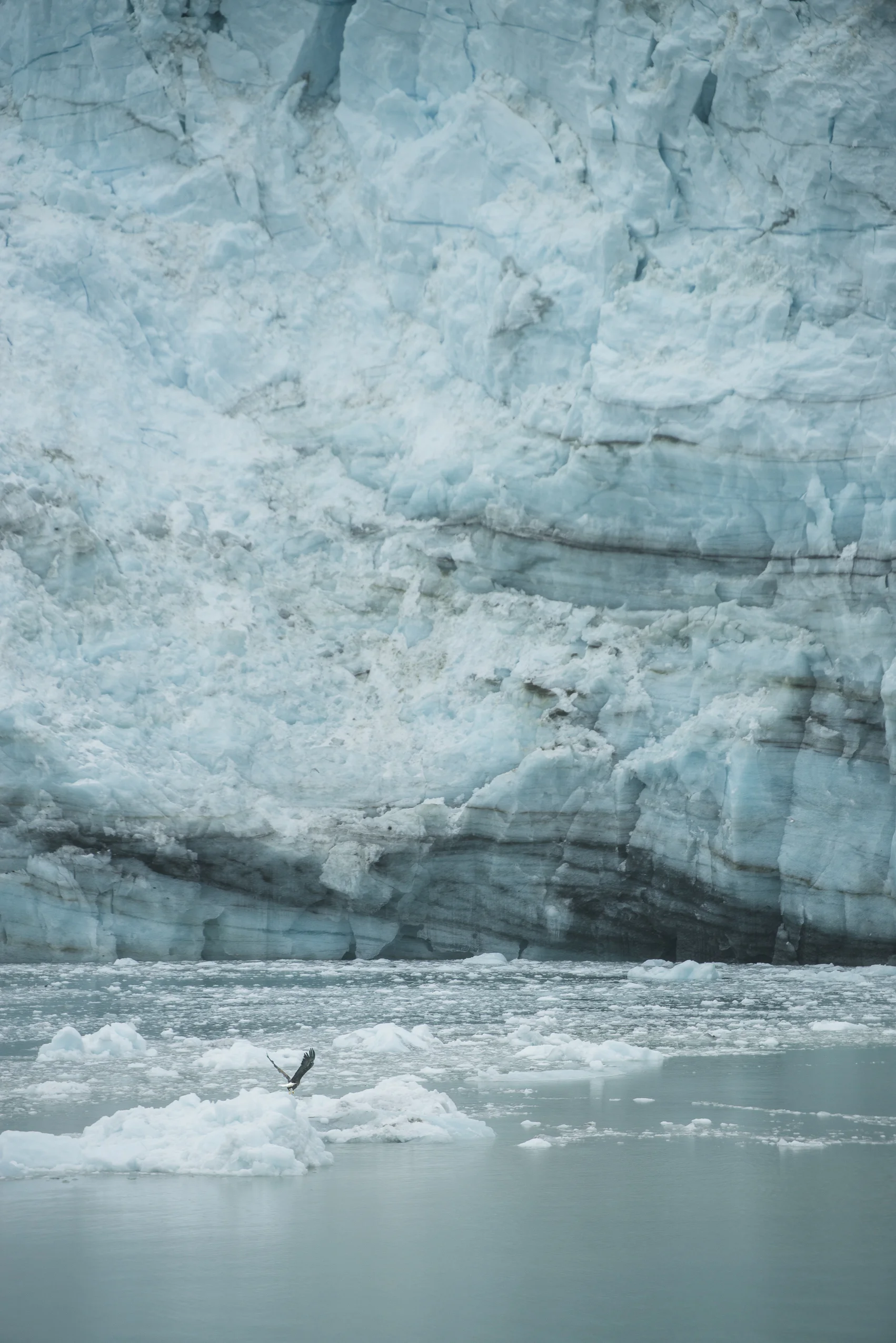 ALASKA HAWAII FINAL LR EXPORT-299.jpg