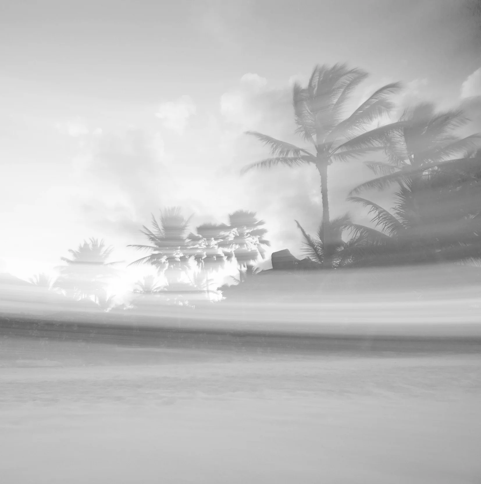 ALASKA HAWAII FINAL LR EXPORT-1090_WEB.jpg