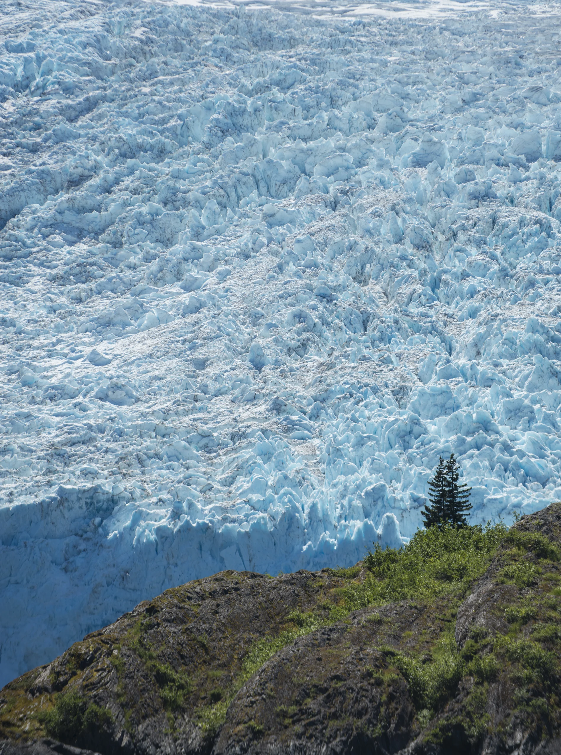 ALASKA HAWAII FINAL LR EXPORT-5-16.jpg