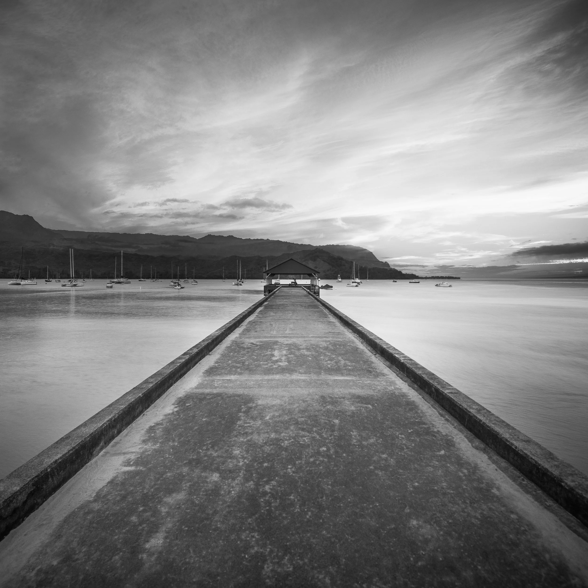 ELEMENTS-1-20.jpg