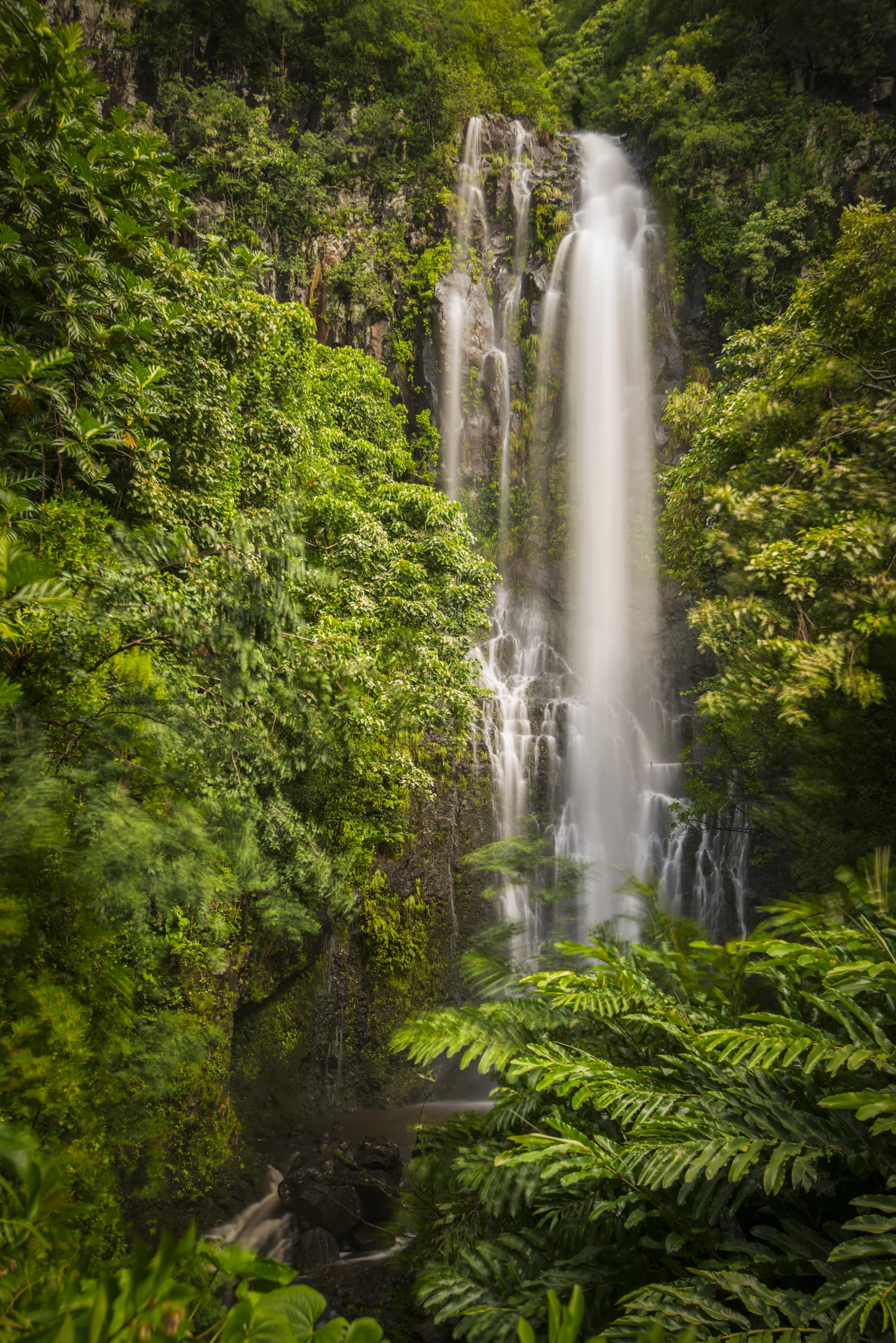 ALASKA HAWAII FINAL LR EXPORT-700.jpg